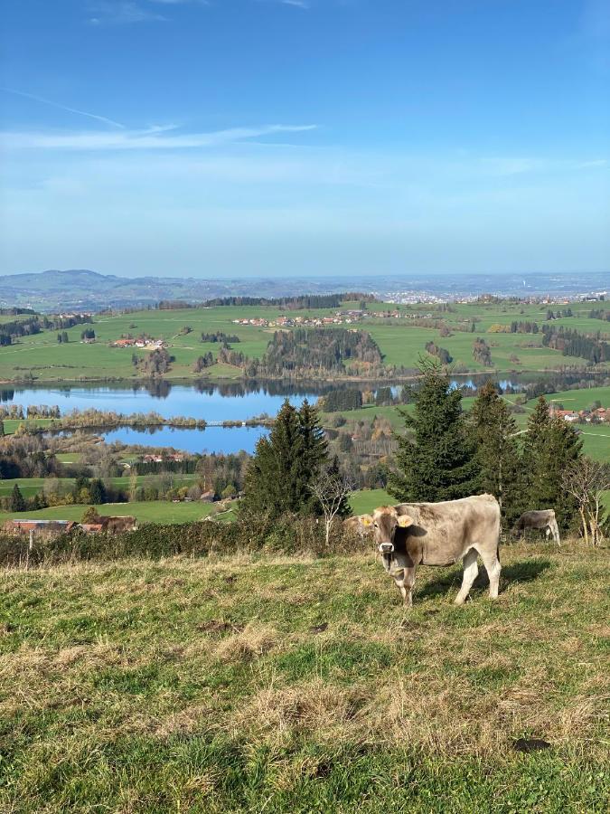 Moderne, 1-zimmer Mit Bergblick