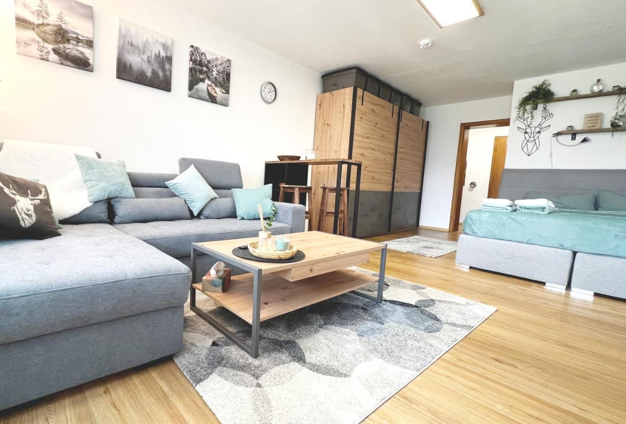 Moderne, 1-zimmer Mit Bergblick * Oy-Mittelberg