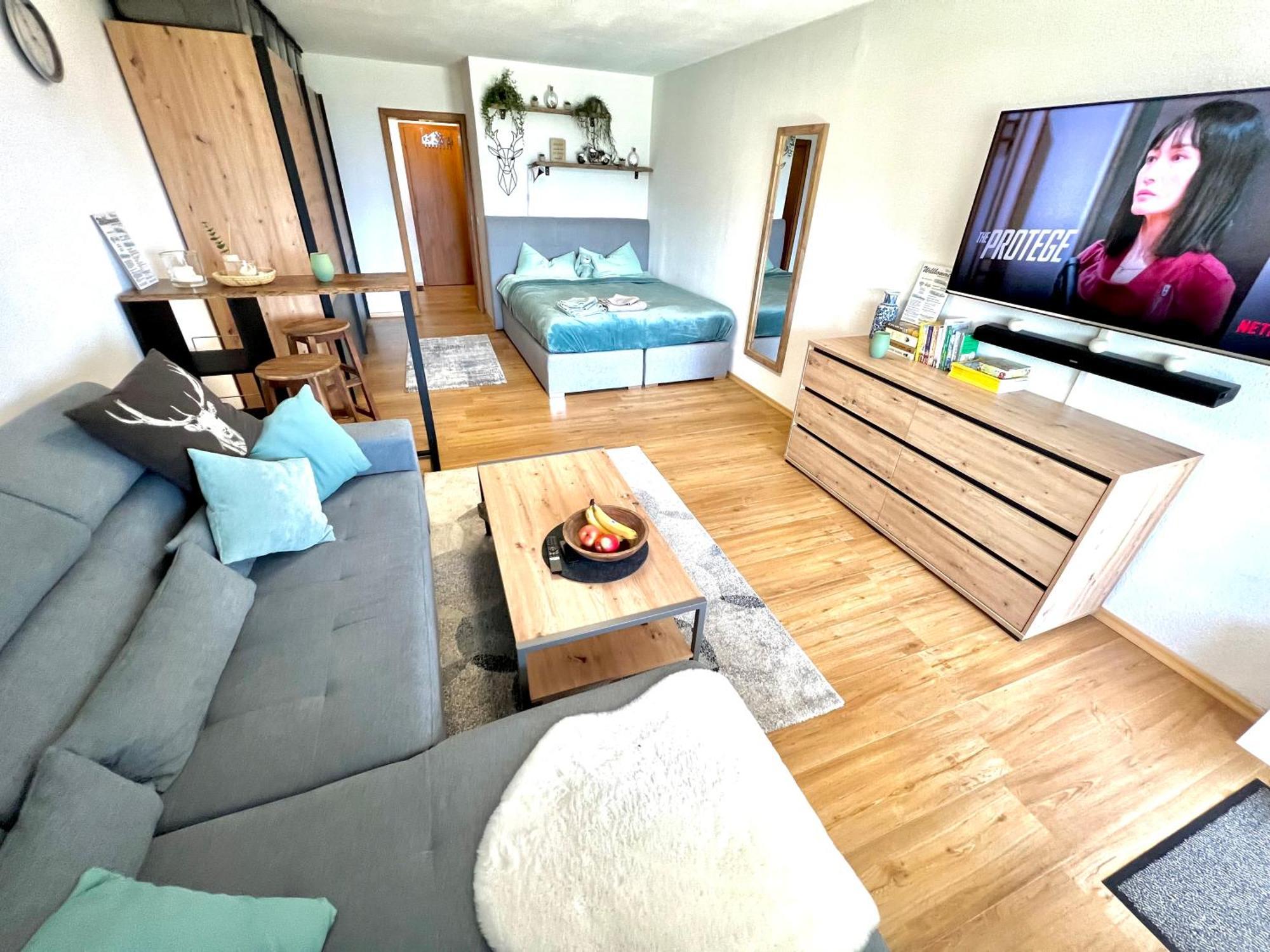 Moderne, 1-zimmer Mit Bergblick